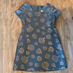 Ann Taylor Empire Waist Dreas